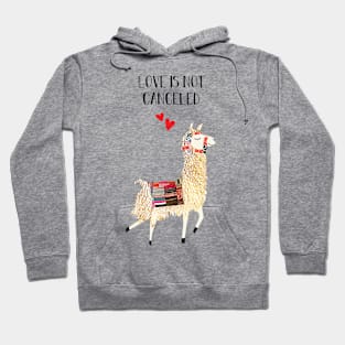 Love is not canceled Hoodie